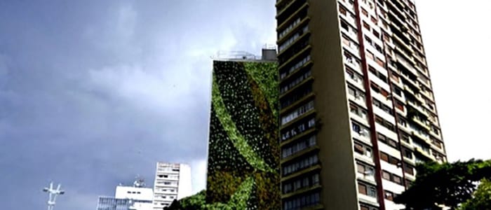 Imagem do projeto Jardins verticais: lazer e educação ambiental para São Paulo
