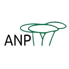 ANP · Associação Nacional dos Publicitários